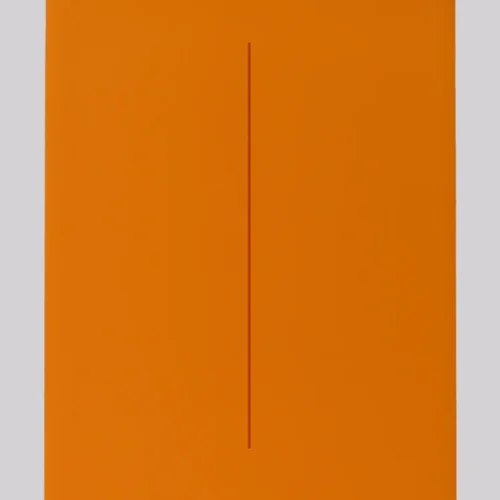 Soar Flow Mat - Regular Version (Orange)